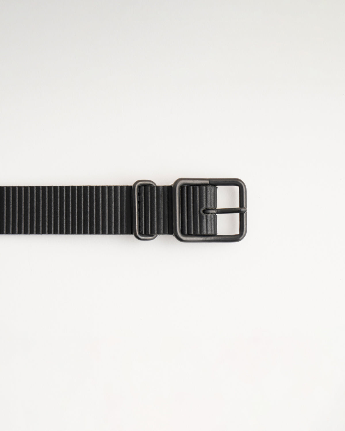Cardboard Belt