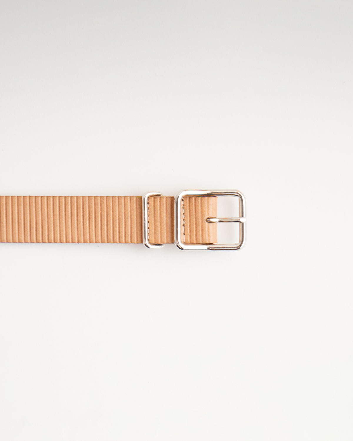 Cardboard Belt