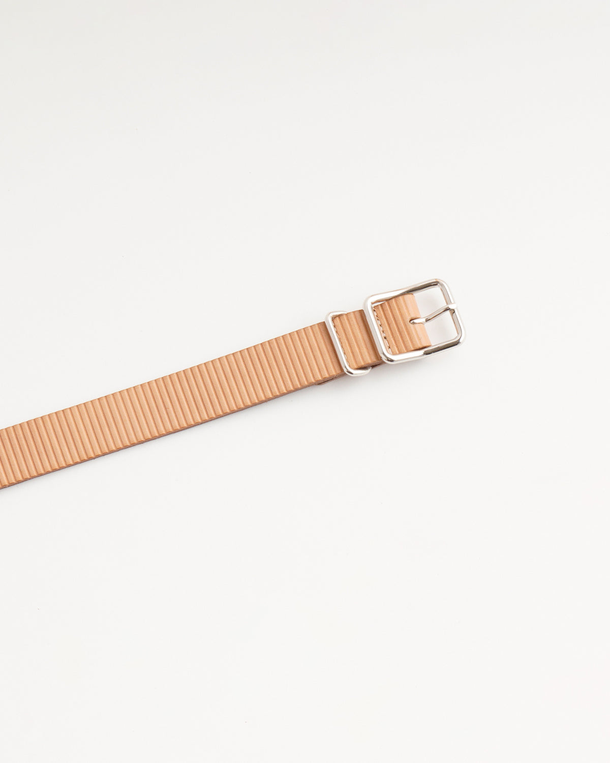 Cardboard Belt