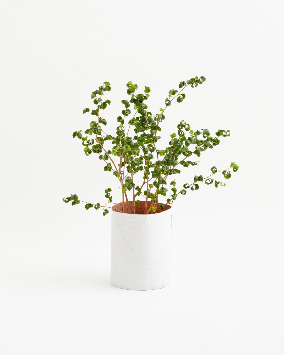 Paper Leather Wastebasket