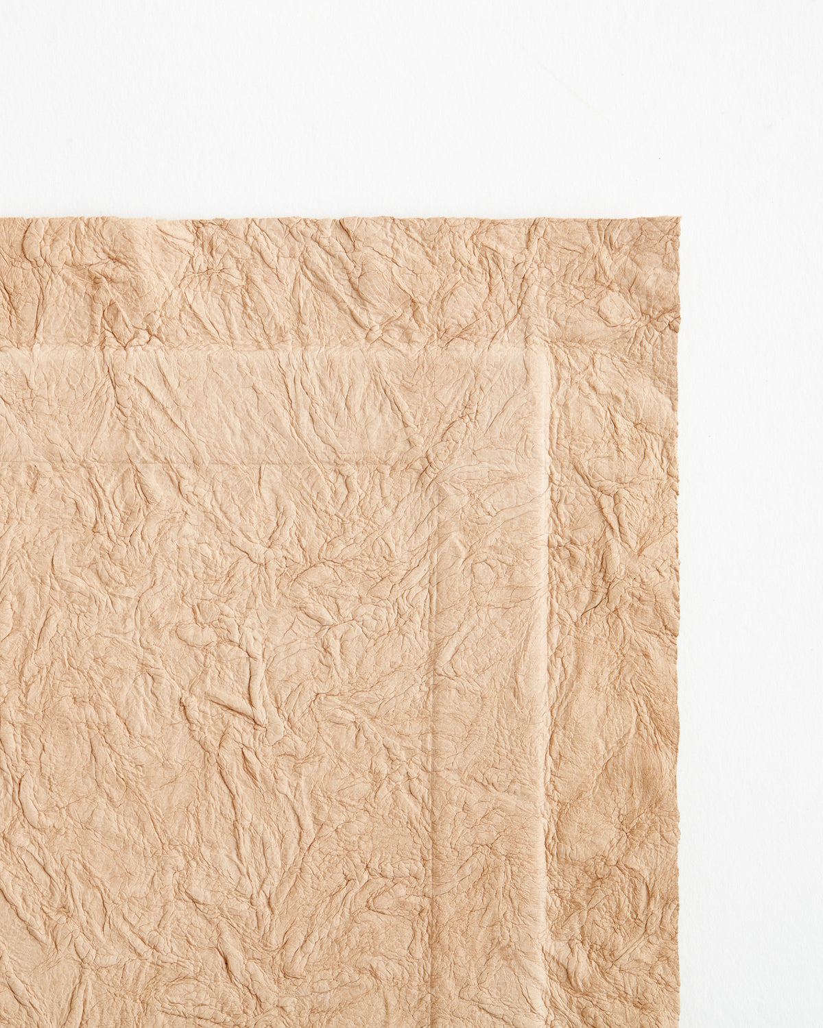 Paper Leather Tray
