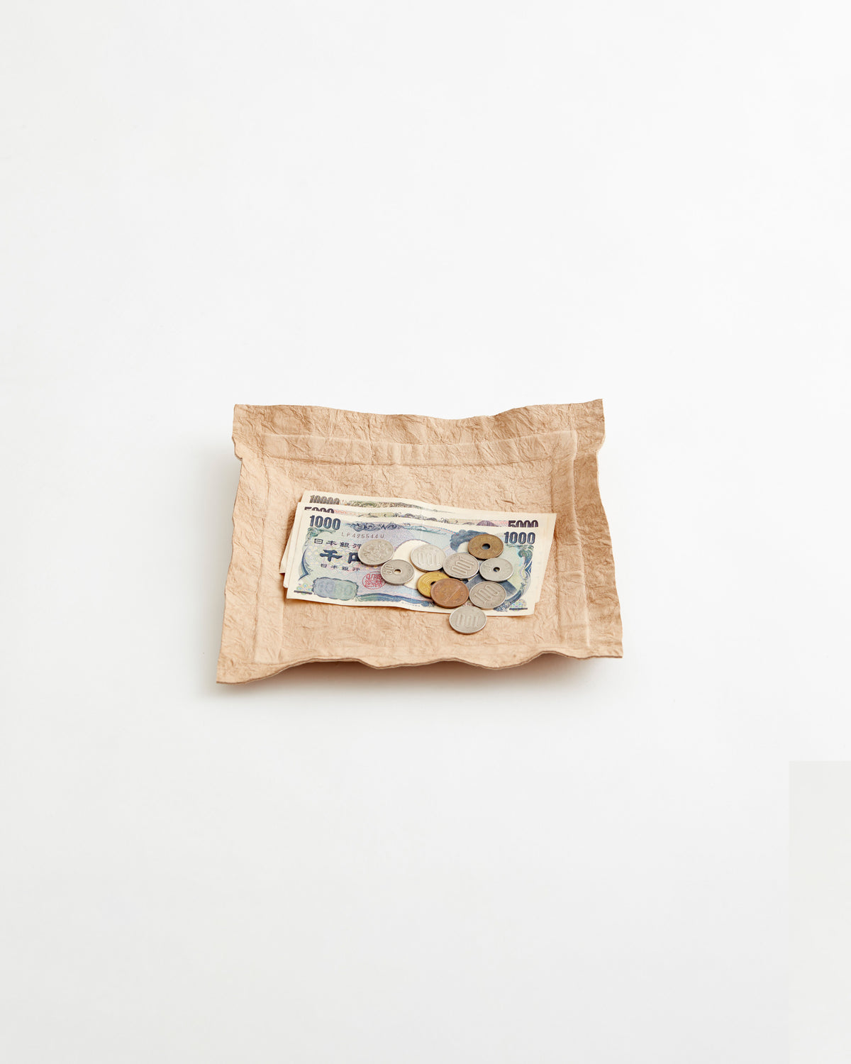 Paper Leather Tray