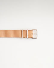 Cardboard Belt