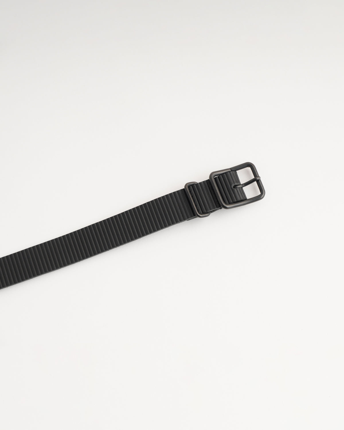 Cardboard Belt