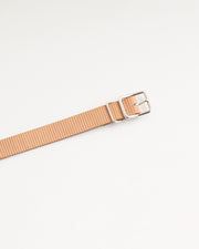 Cardboard Belt