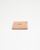Cardboard Pass Case