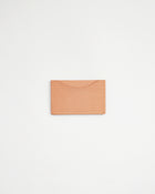 Cardboard Pass Case