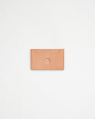 Cardboard Pass Case