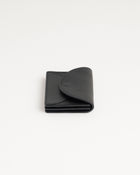 Fold Mini Wallet