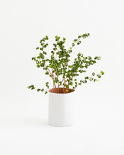 Paper Leather Wastebasket