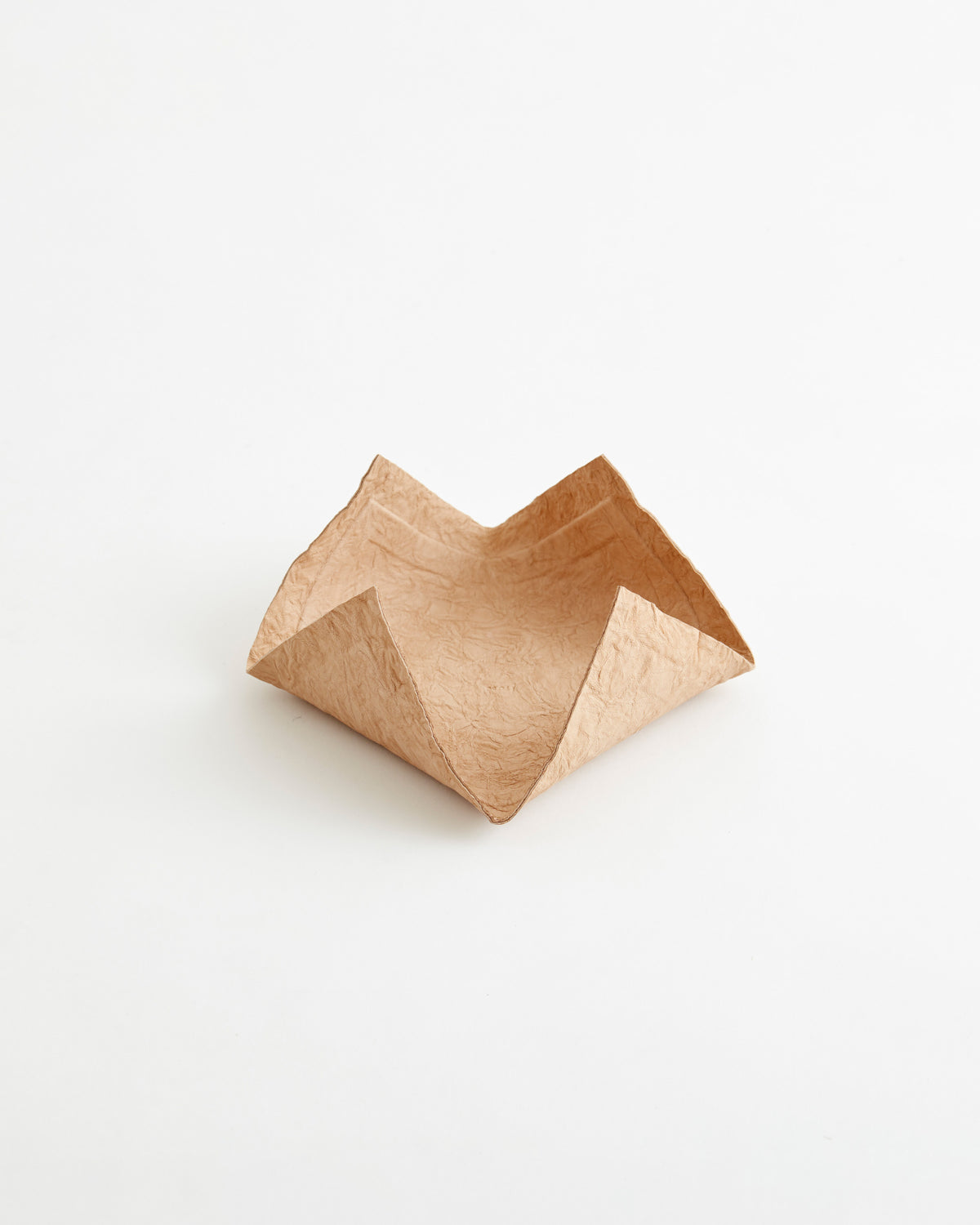 Paper Leather Tray