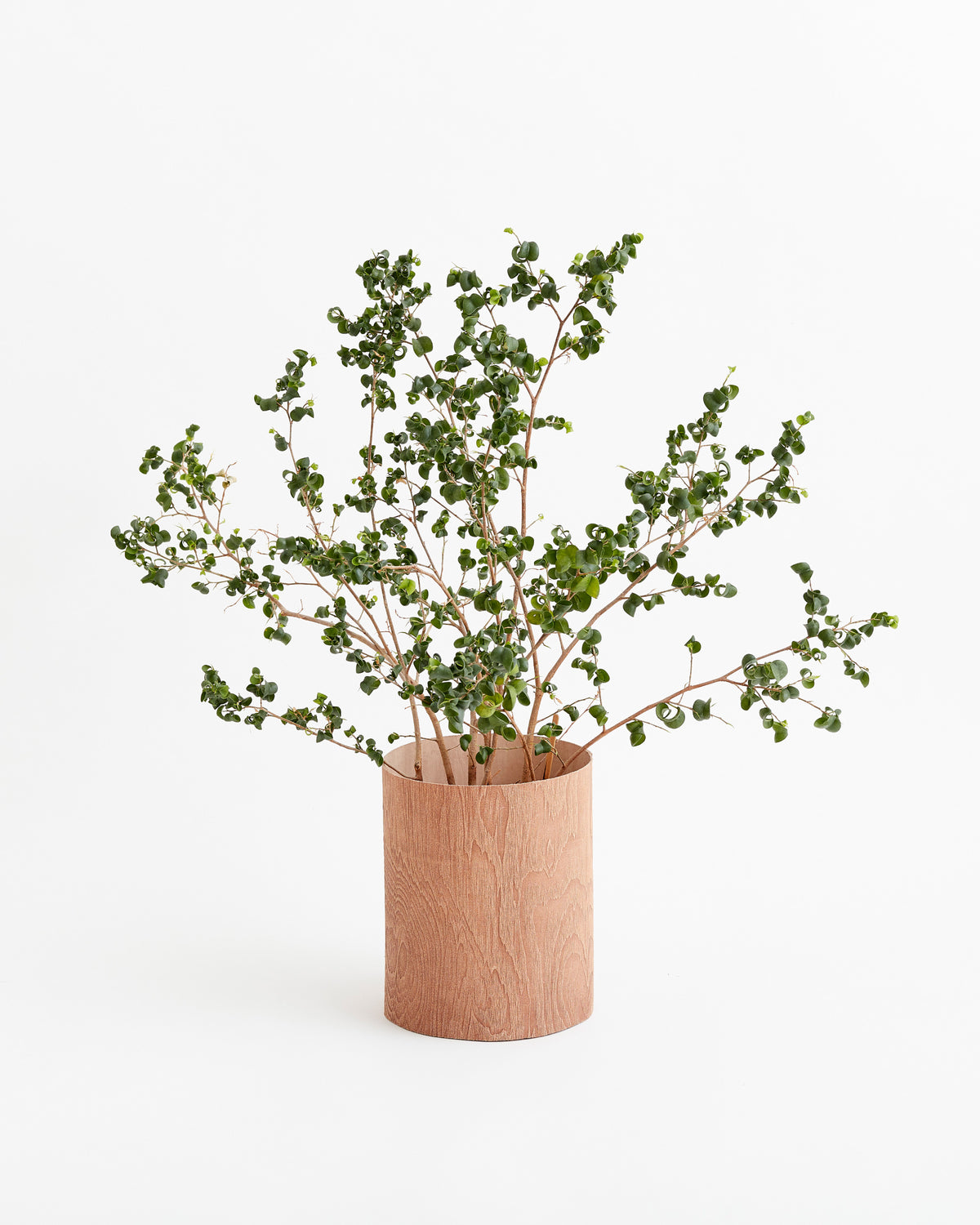 Wood and Leather Wastebasket